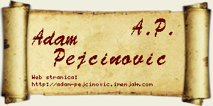 Adam Pejčinović vizit kartica